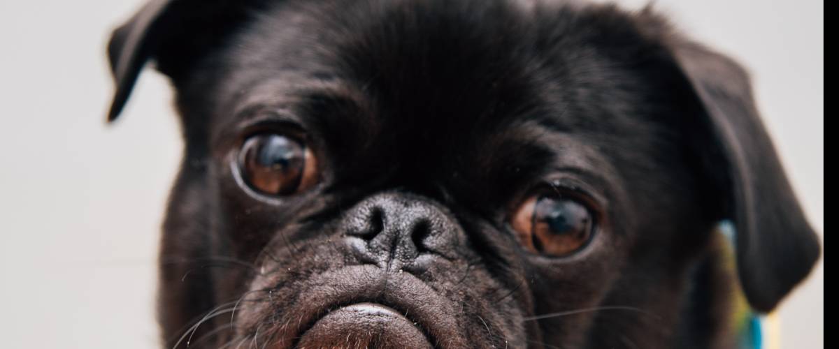 Photo by Charles Deluvio ???? on Unsplash