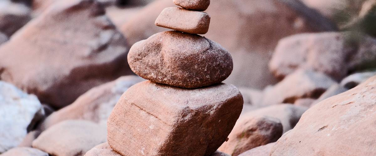 Photo by Debby Hudson on Unsplash